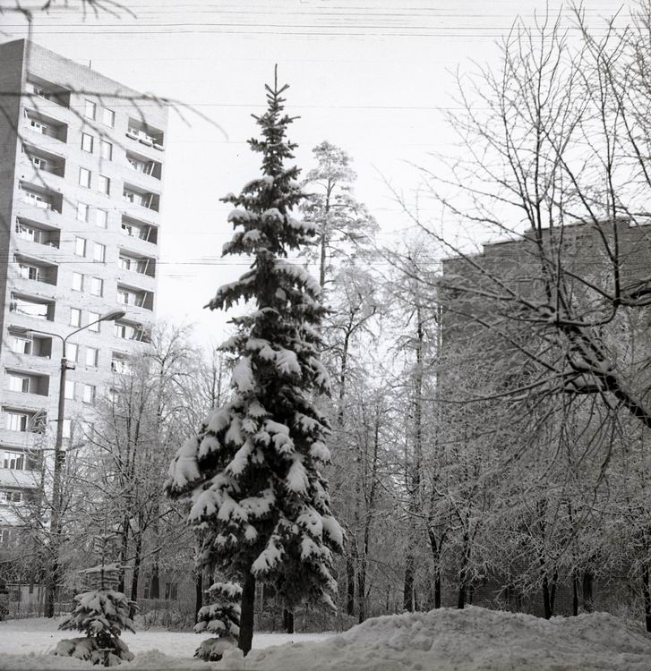  . 1981 .